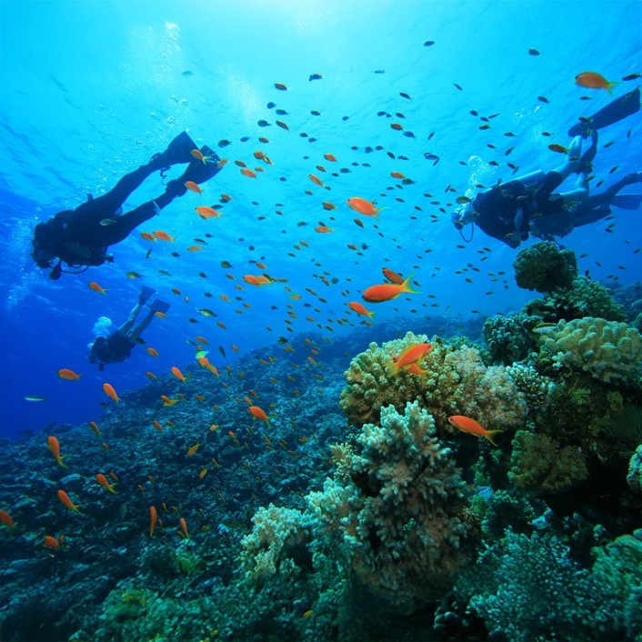 SQUBA DIVING