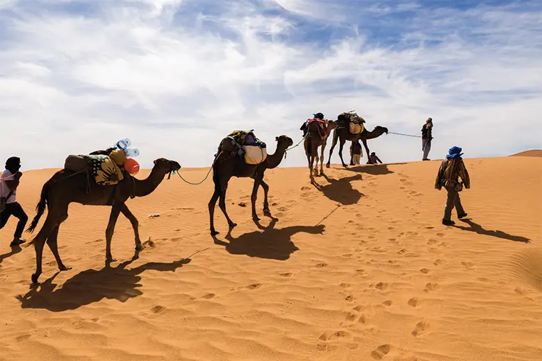 CAMEL RACE TOUR