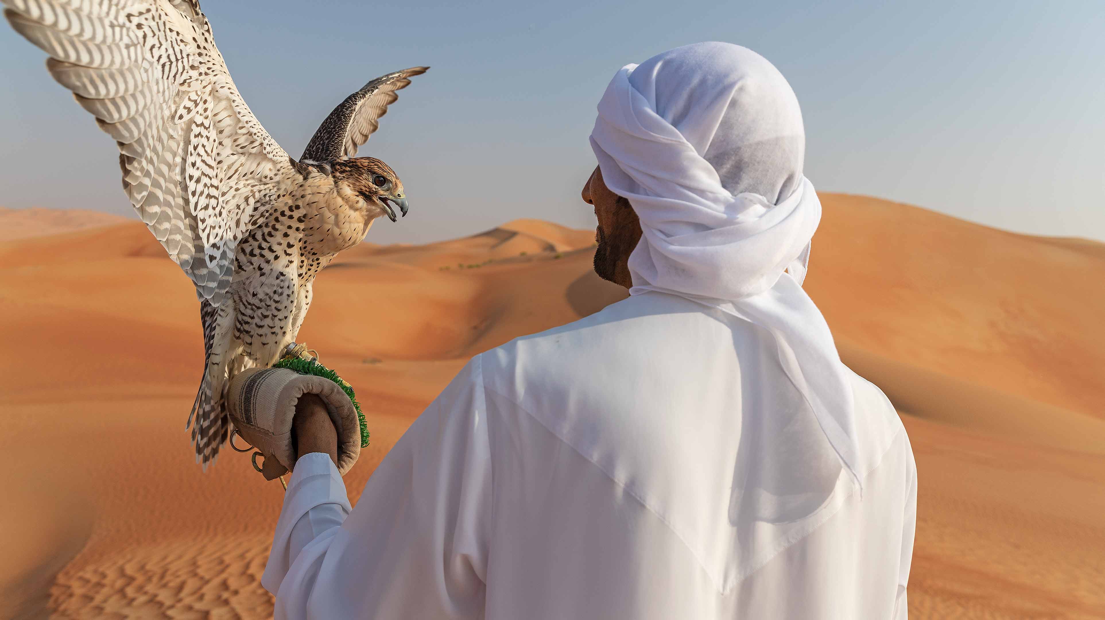 CAMEL TOUR (With Falcon) image 1