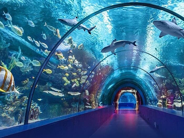 HALF DAY SAFARI (With Aquarium)